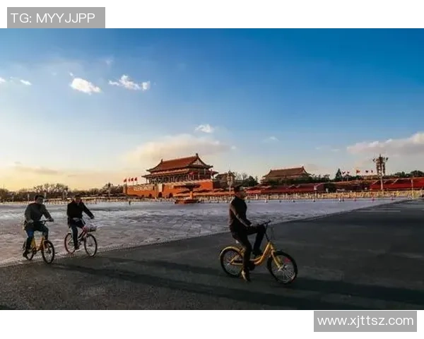 陈军的乒乓球人生深度对话探索他的奋斗与荣耀之路